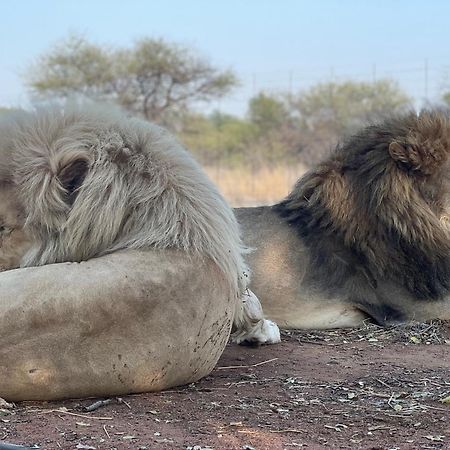 Simba Safaris African Pride Exotic Lodge Lephalale Exterior photo