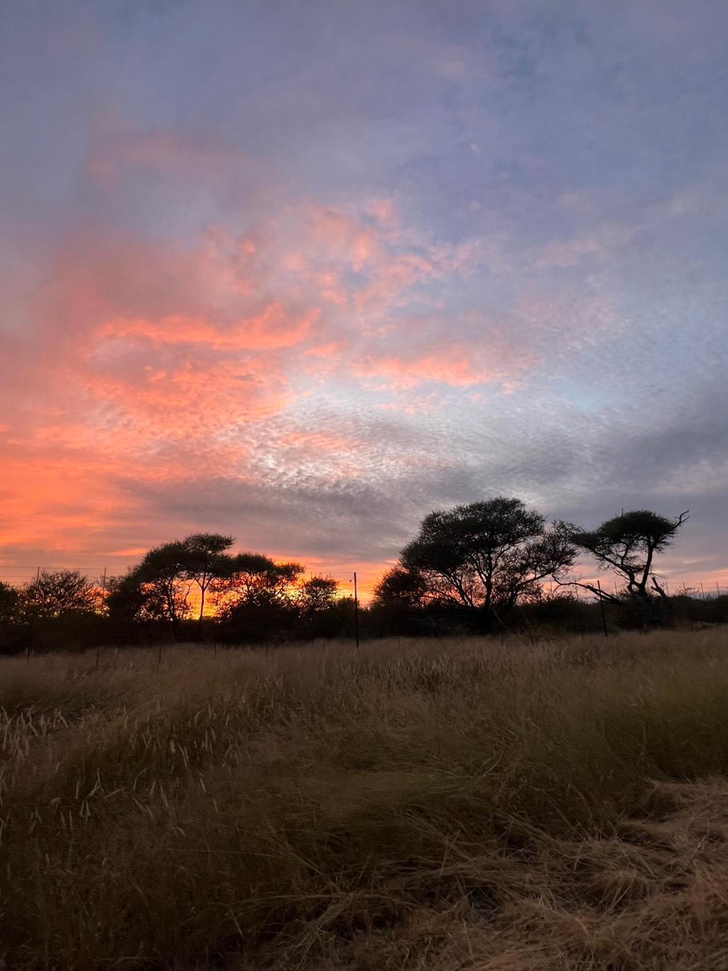 Simba Safaris African Pride Exotic Lodge Lephalale Exterior photo
